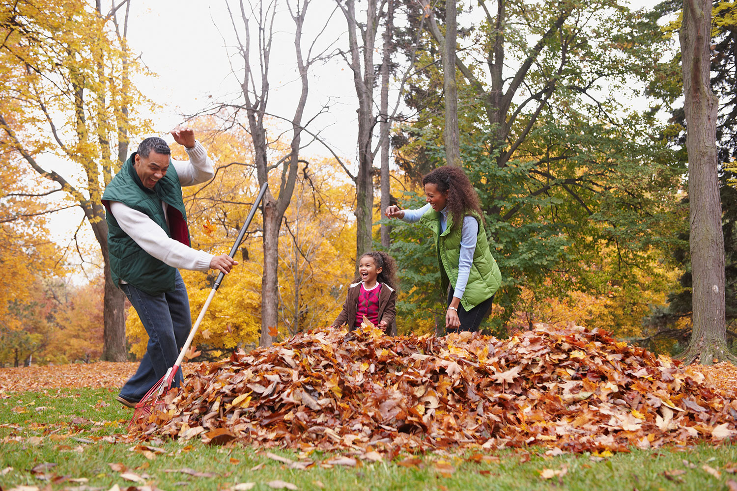 Family raking tree leaves