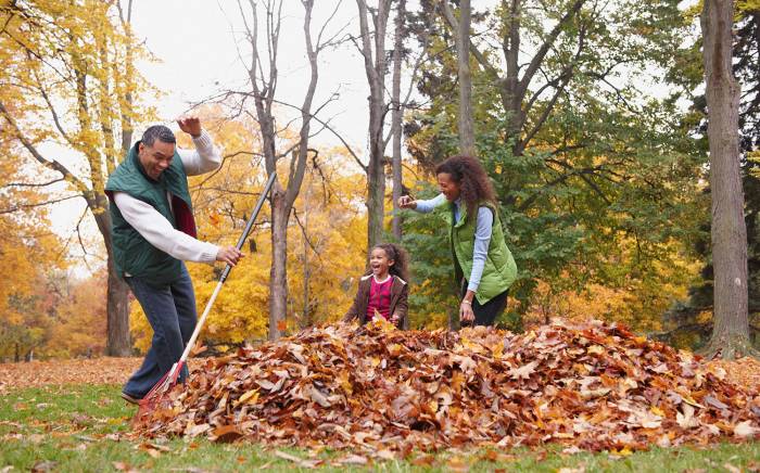 Family raking tree leaves